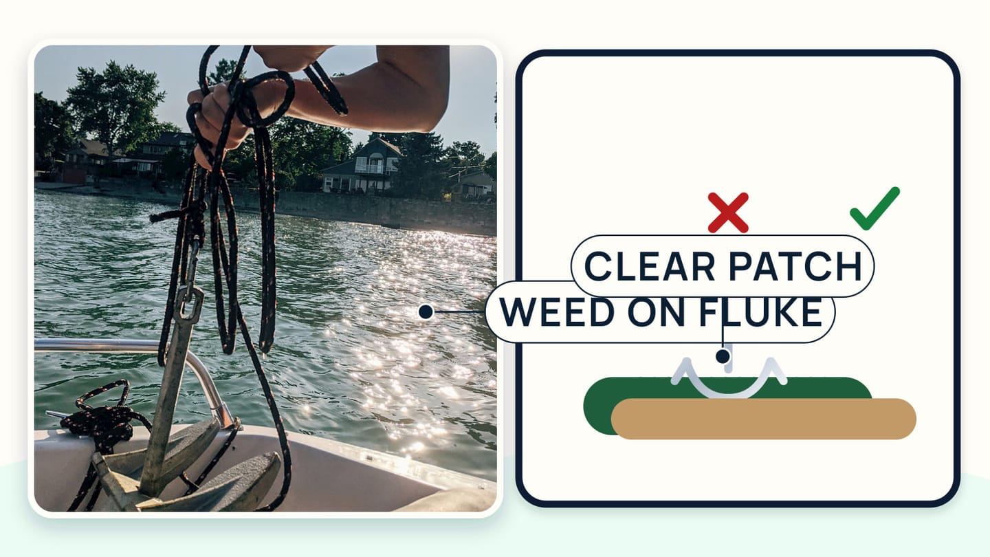 An anchor recovered on deck with visible weed around its fluke while a clear patch lies nearby
