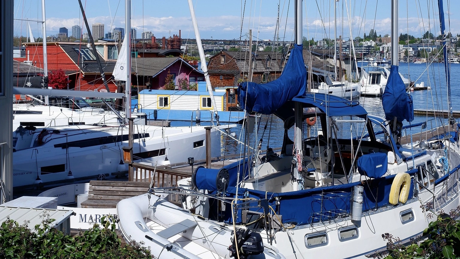 Rows of sailboats moored in a marina