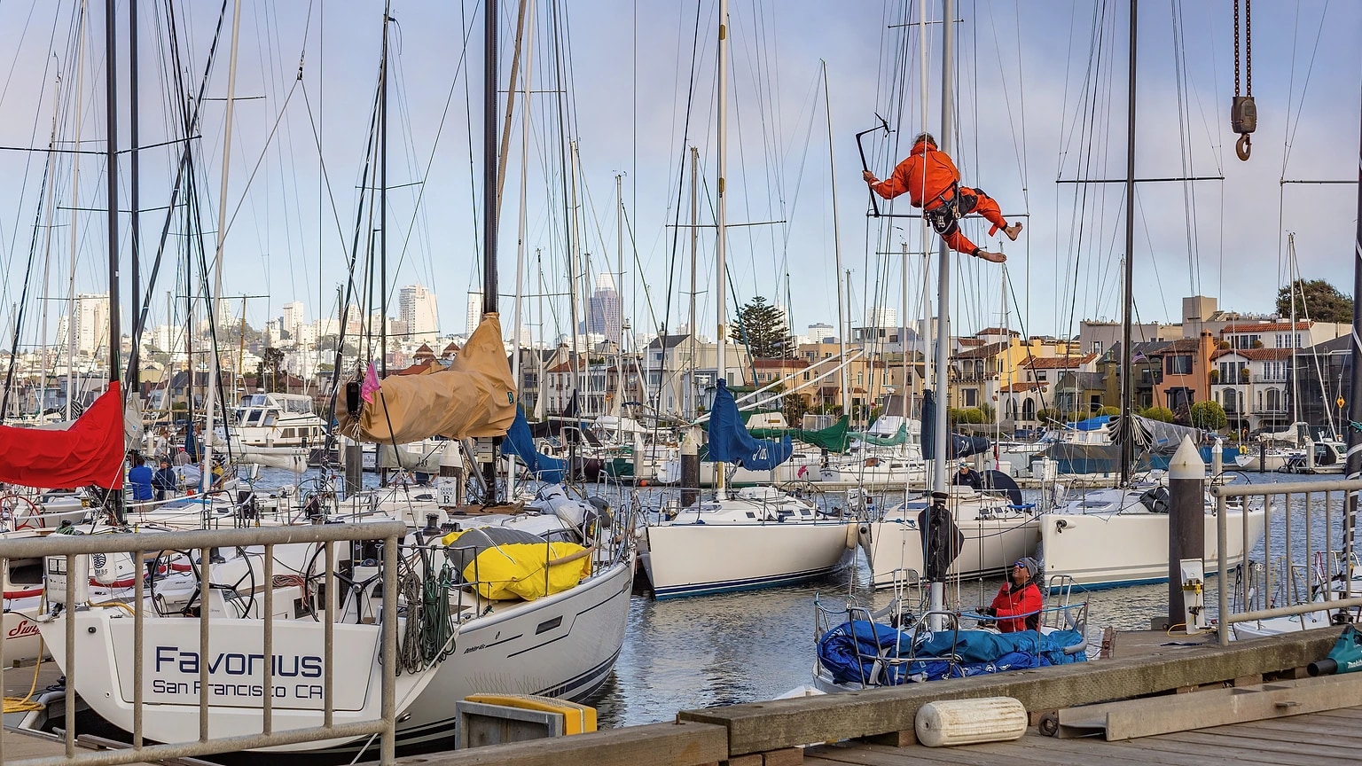 Sailboats standing ashore in a working boatyard