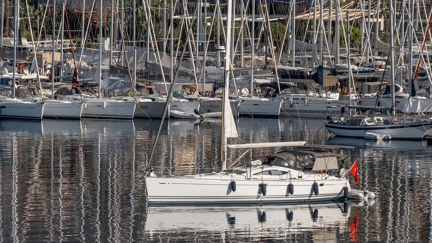 Sailboats moored in a calm marina