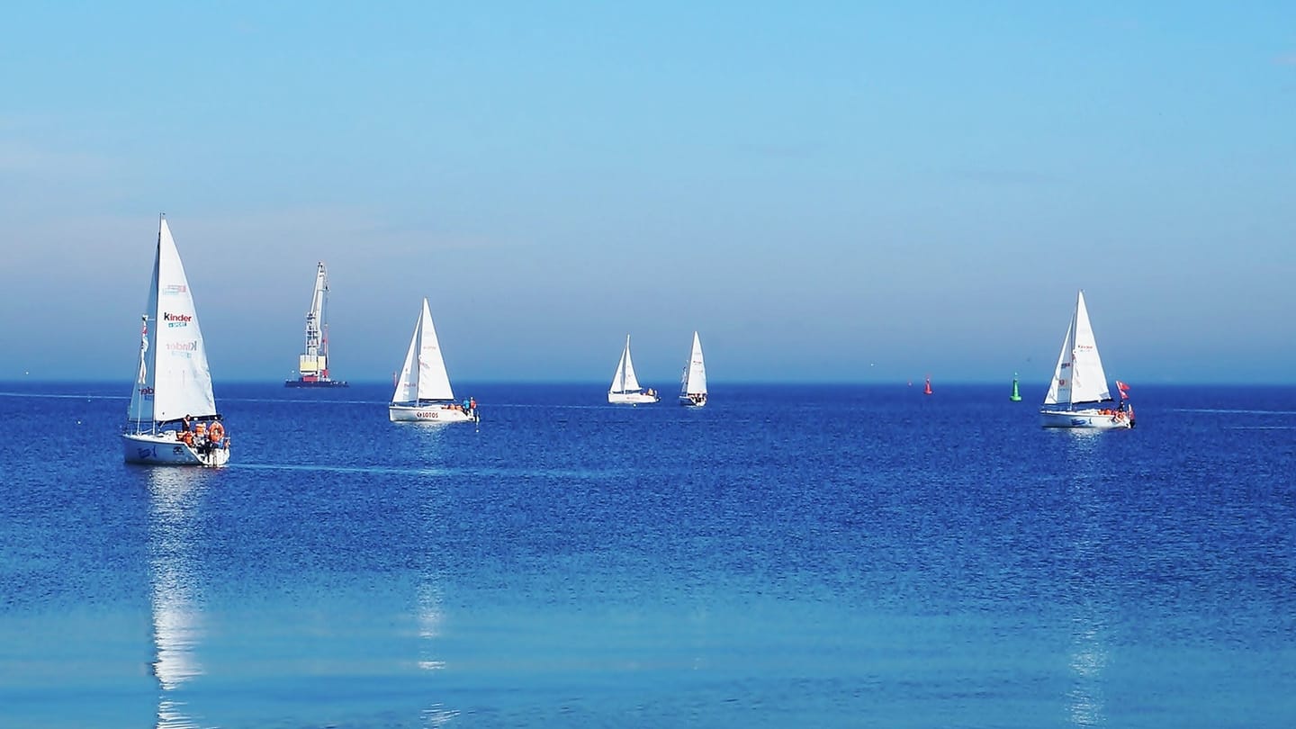 Several sailing yachts spread across the same stretch of sea