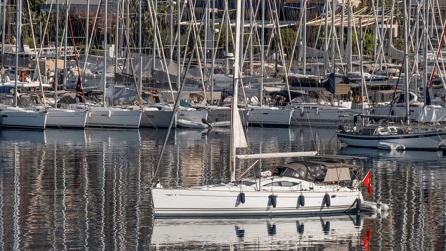 Sailboats secured together in a marina