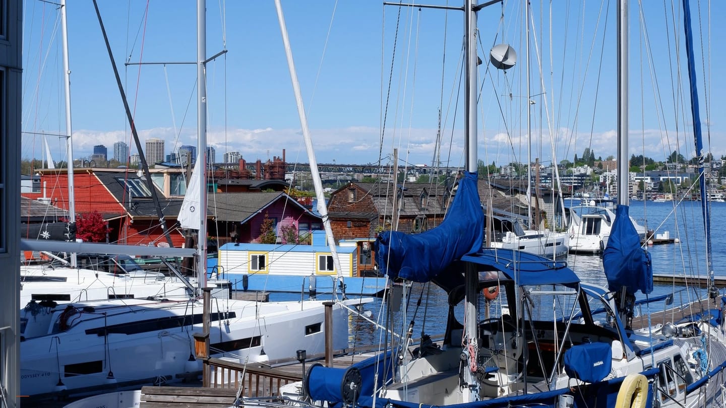 Rows of sailboats moored inside a sheltered marina