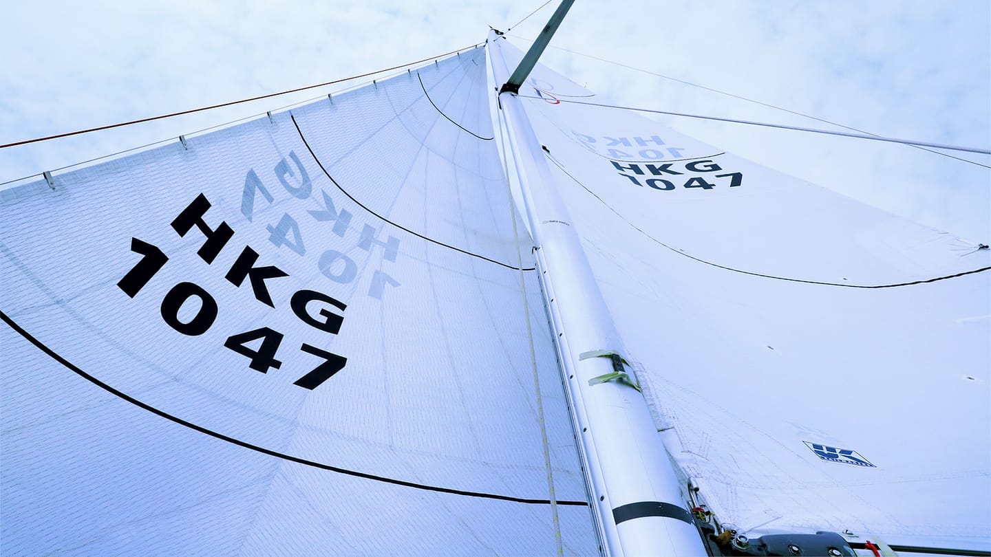 White headsail set forward of a sailboat mast