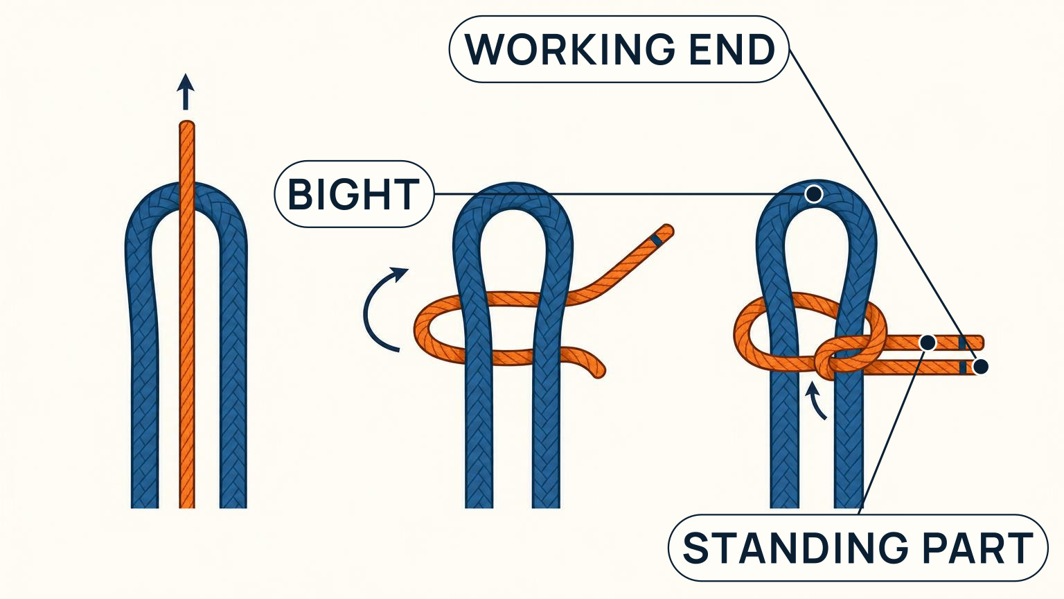 Three-stage sequence showing a thinner rope routed around the bight of a thicker rope to form a sheet bend