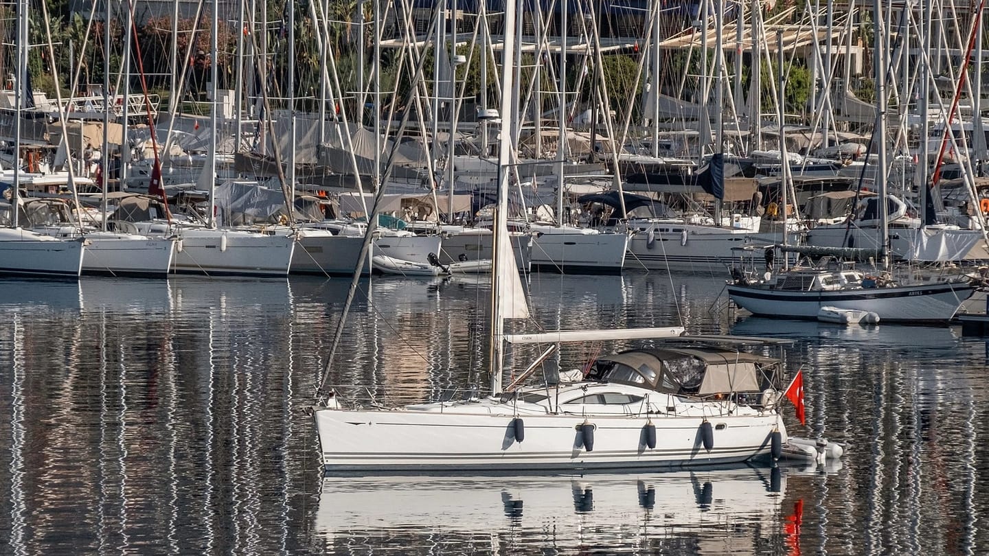 Sailboats moored together in a marina