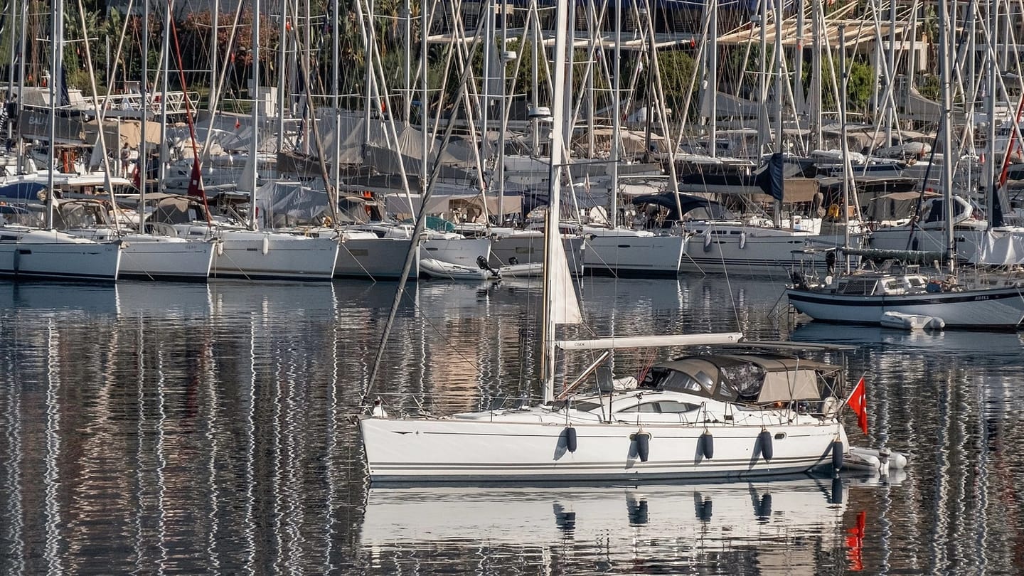 Rows of sailboats in marina berths