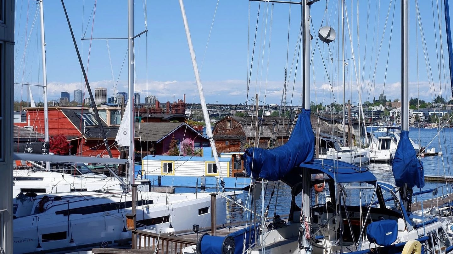 Sailboats packed into marina berths beside shore