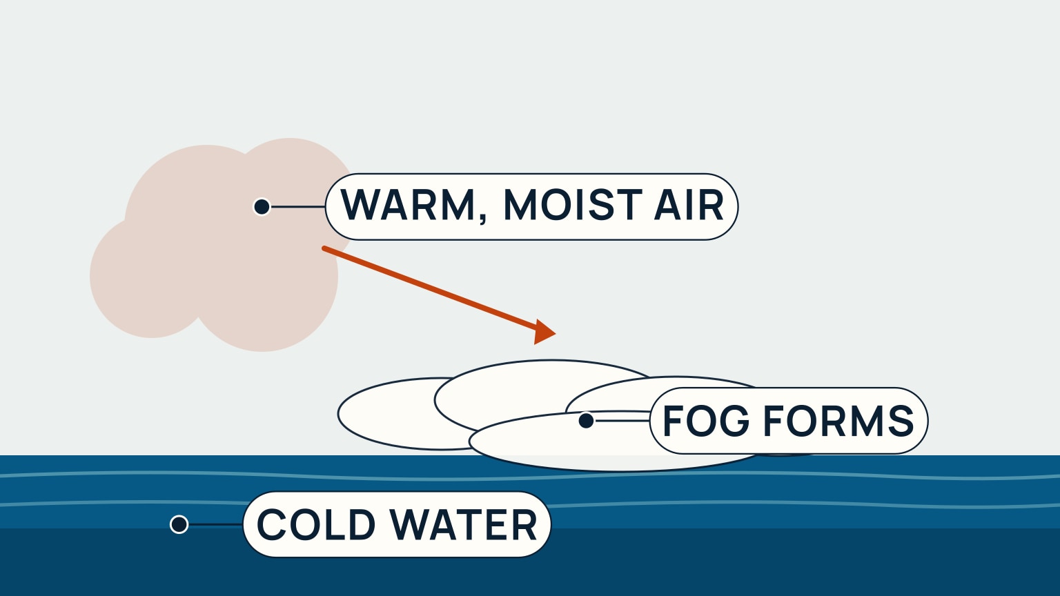 A side-on scene: a soft pale warm-toned cloud shape sits at upper left, labeled Warm, Moist Air, with an orange arrow pointing down and right toward a band of overlapping pale, fog-coloured ellipses hugging the sea surface, labeled Fog Forms. Below, a solid band of ocean-blue water is labeled Cold Water.