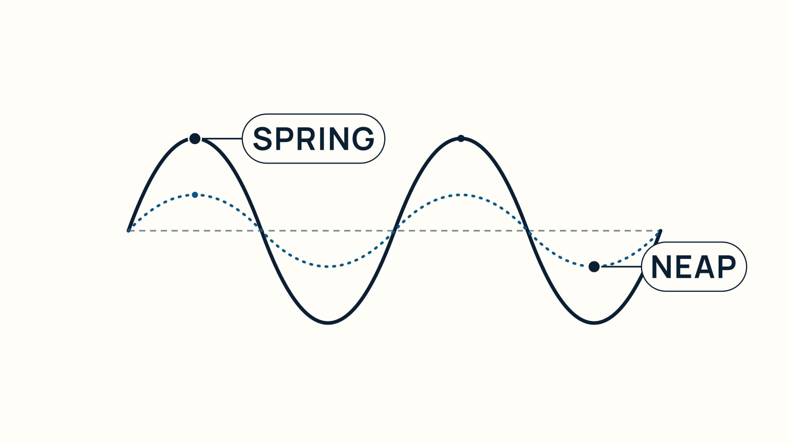 Two labeled tide curves side by side, a tall spring-tide curve with a wide range and a flatter neap-tide curve with a narrow range, both plotted against the same chart-datum baseline