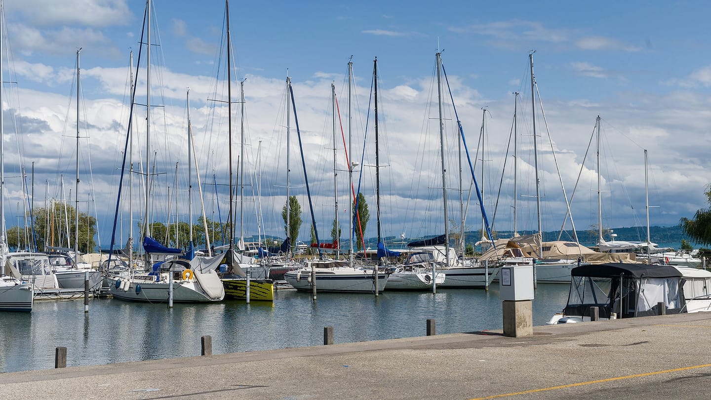 A marina full of rigged sailboats suggests the many boat-specific setups behind helm feel.