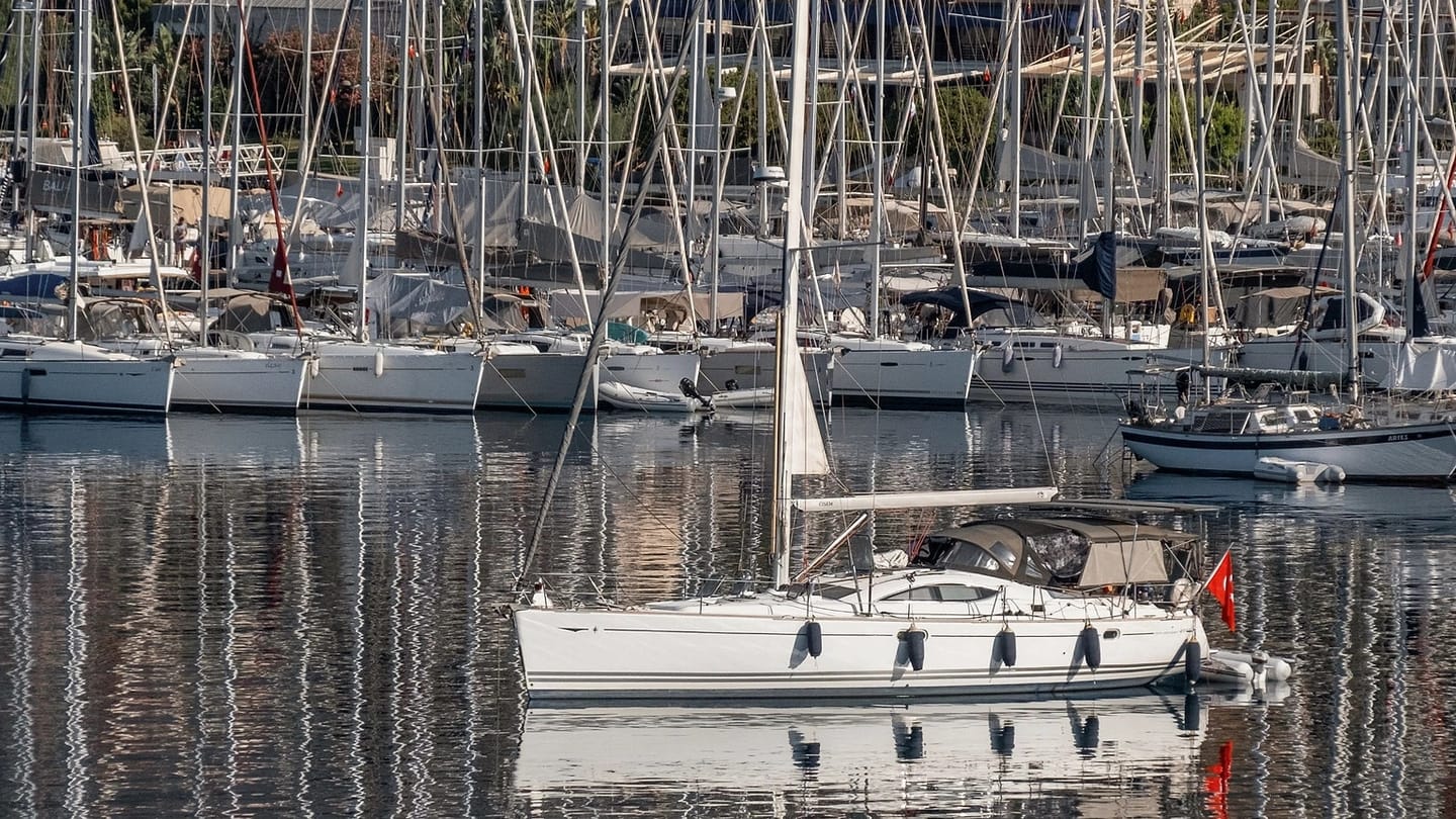 Sailboats secured in a sheltered marina