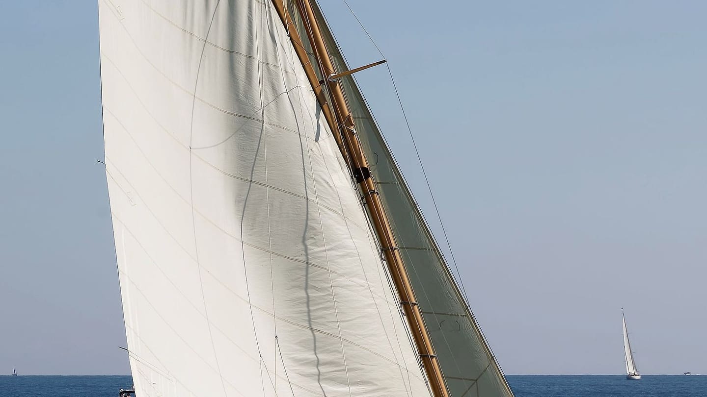 Mainsail luff and halyard beside a sailboat mast
